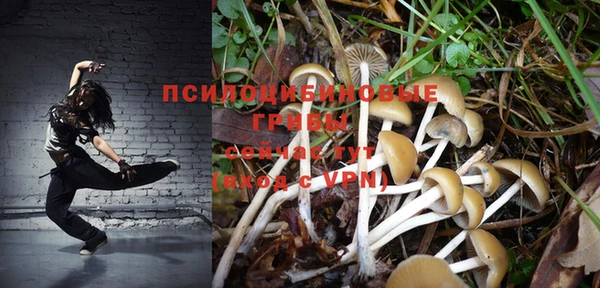 прущий лед Лагань