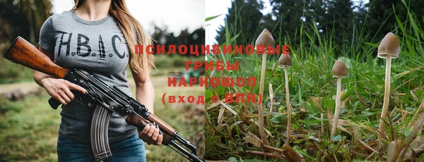 крисы Лабытнанги