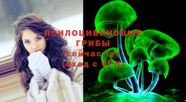 крисы Лабытнанги
