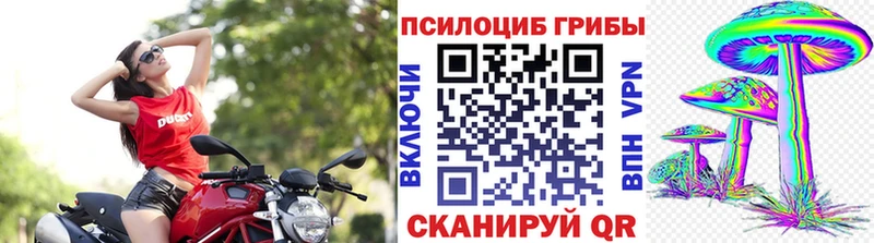 Купить закладки  Прохладный  Галлюциногенные грибы мицелий 